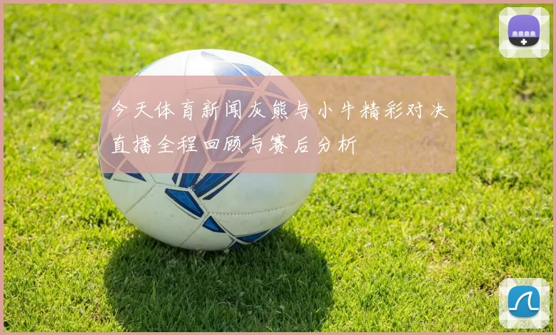 今天体育新闻灰熊与小牛精彩对决直播全程回顾与赛后分析