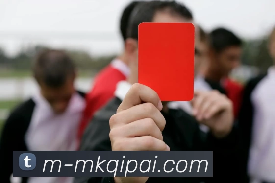 App Interface Preview